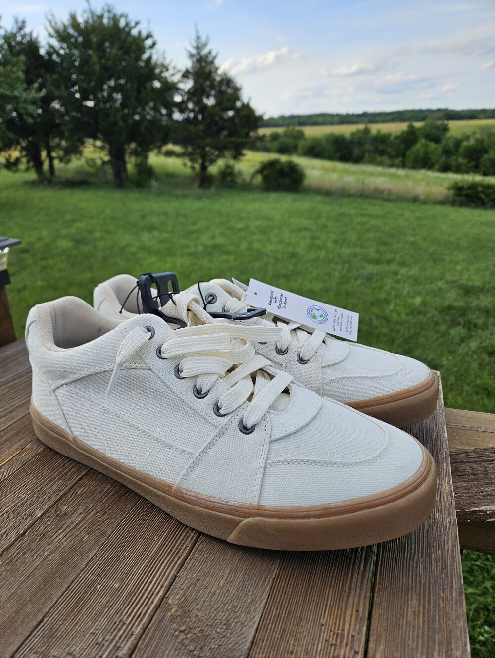 No Boundaries Men's Canvas Skate 2.0 Low Top Sneakers White Gum Sole NWT